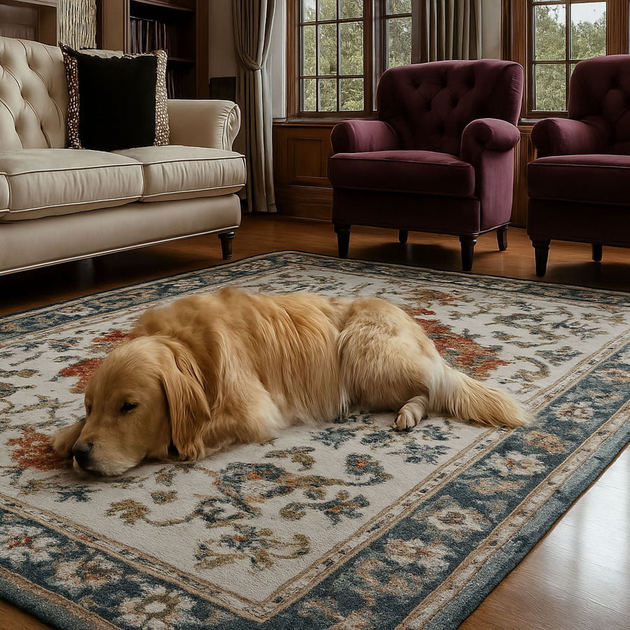Best-Selling Rugs - districtoasis